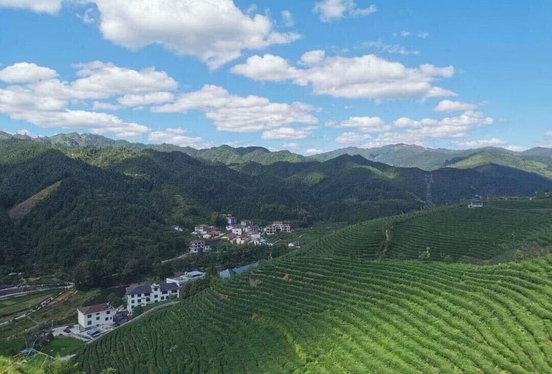 强信心、重担当、敢作为、塑形象 — 古楼乡：创 4A 景区结硕果，绘就乡村振兴新画卷