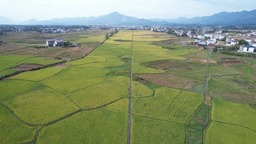 我县2个村入选2024年度省级美丽乡村（和美湘村）重点建设村名单