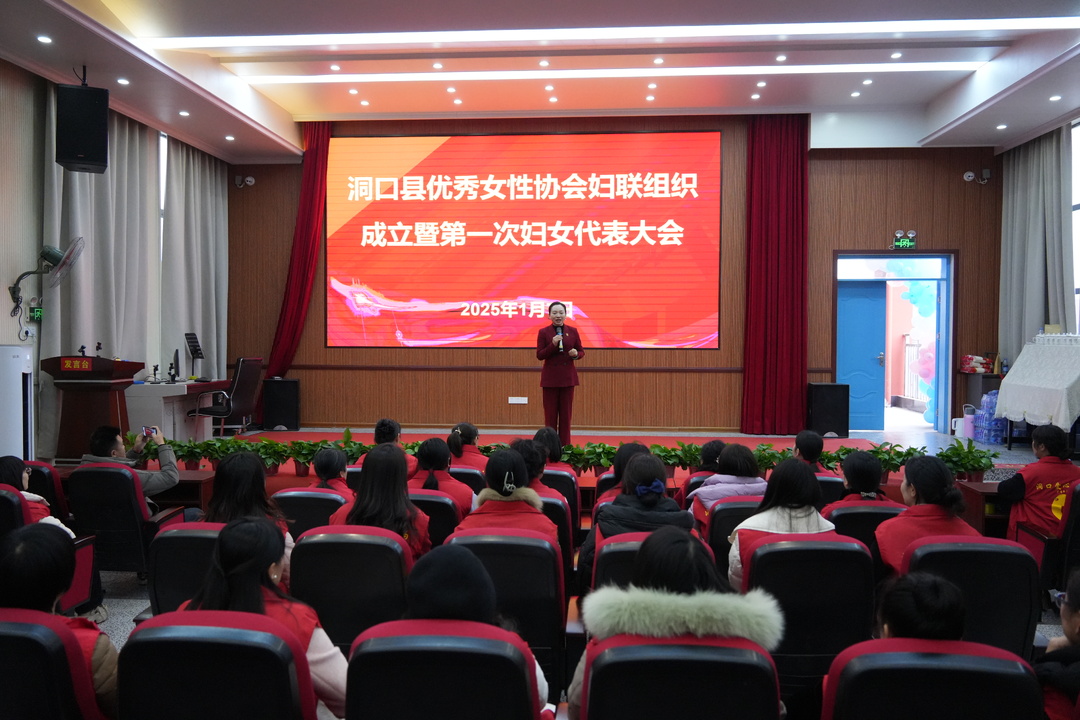 凝聚“她”力量 绽放“新”光彩—— 洞口县成立2家“三新”领域妇联组织