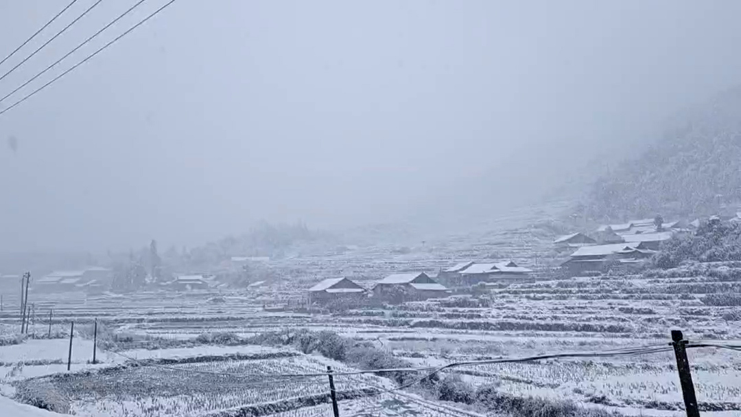 洞口：迎来2025年第一场降雪