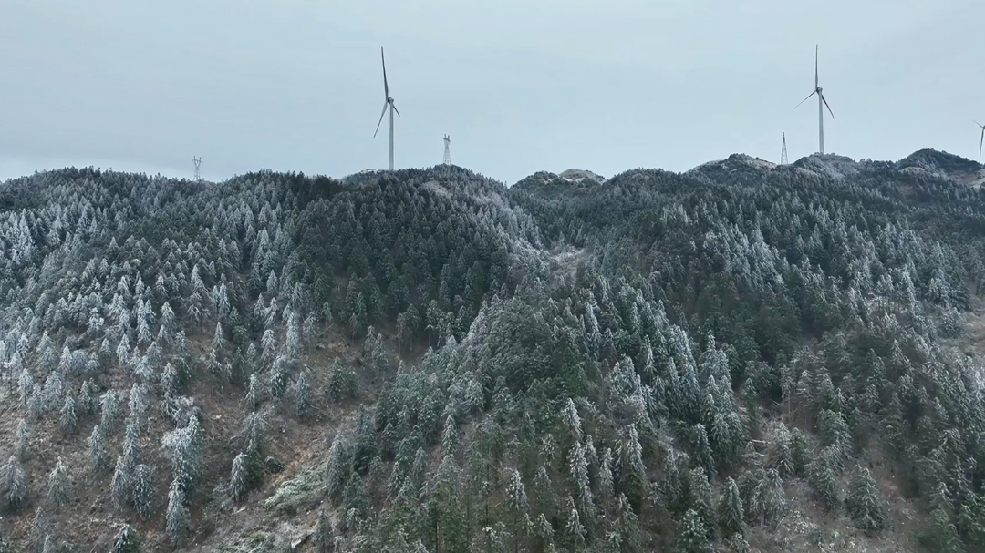 洞口龙坪山景区：高山雾凇 美不胜收