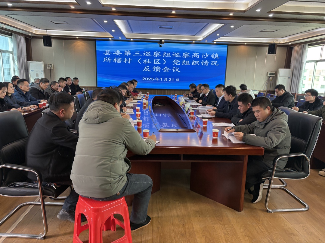 县委第三巡察组向高沙镇所辖村（社区） 党组织反馈巡察情况