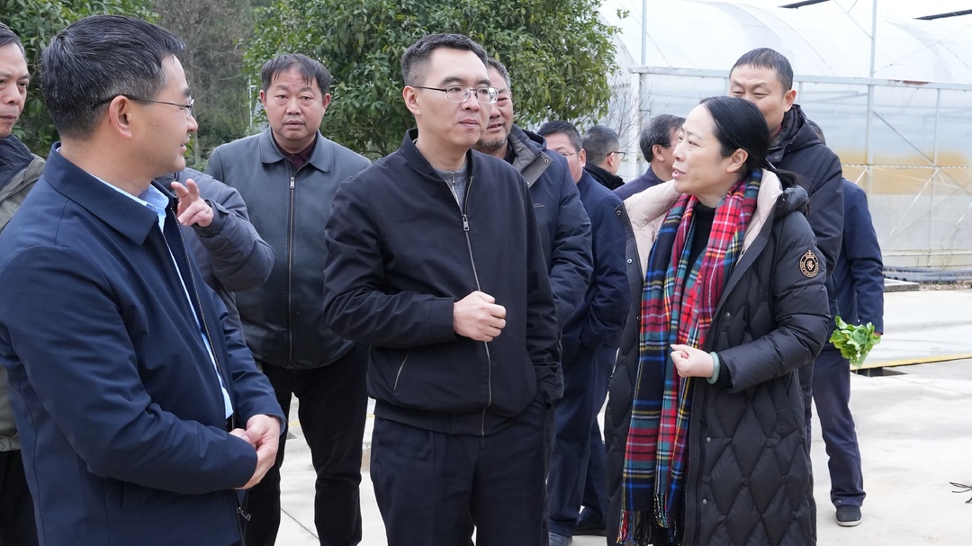 省农业农村厅来我县开展春季农业生产技术指导工作