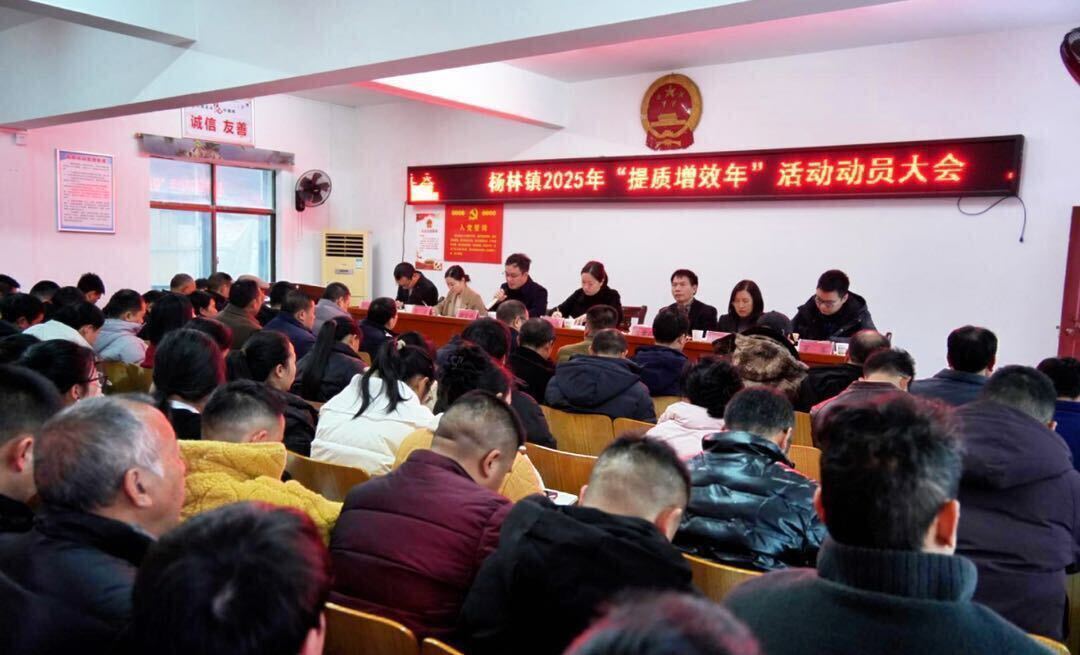 杨林镇：“三会合一”总结部署当前重点工作