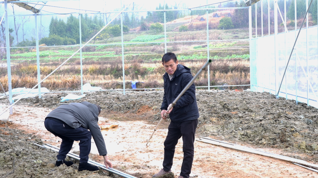 洞口县：抢抓农时建育秧大棚 助力粮食产能提升