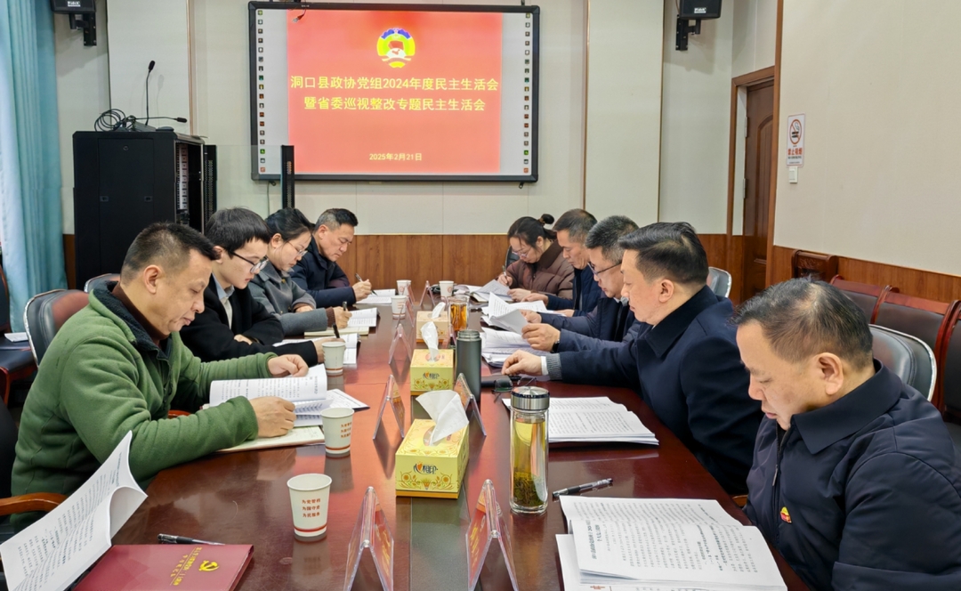 洞口县政协党组召开2024年度民主生活会暨省委巡视整改专题民主生活会