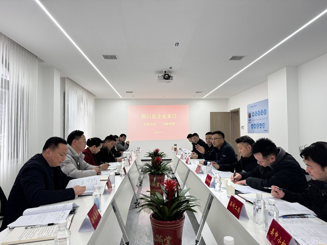 共商发展，同解难题——洞口县举行“企业家日”活动