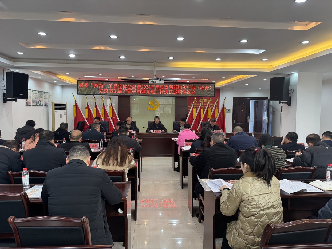 洞口县召开2024年度县直两新组织行业（综合）党委书记履行新兴领域党建工作责任述职评议会