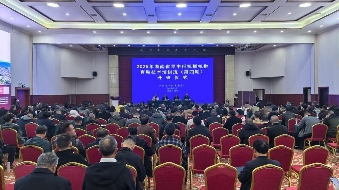 2025年湖南省早中稻机插机抛育秧技术培训班（第四期）在洞口举行