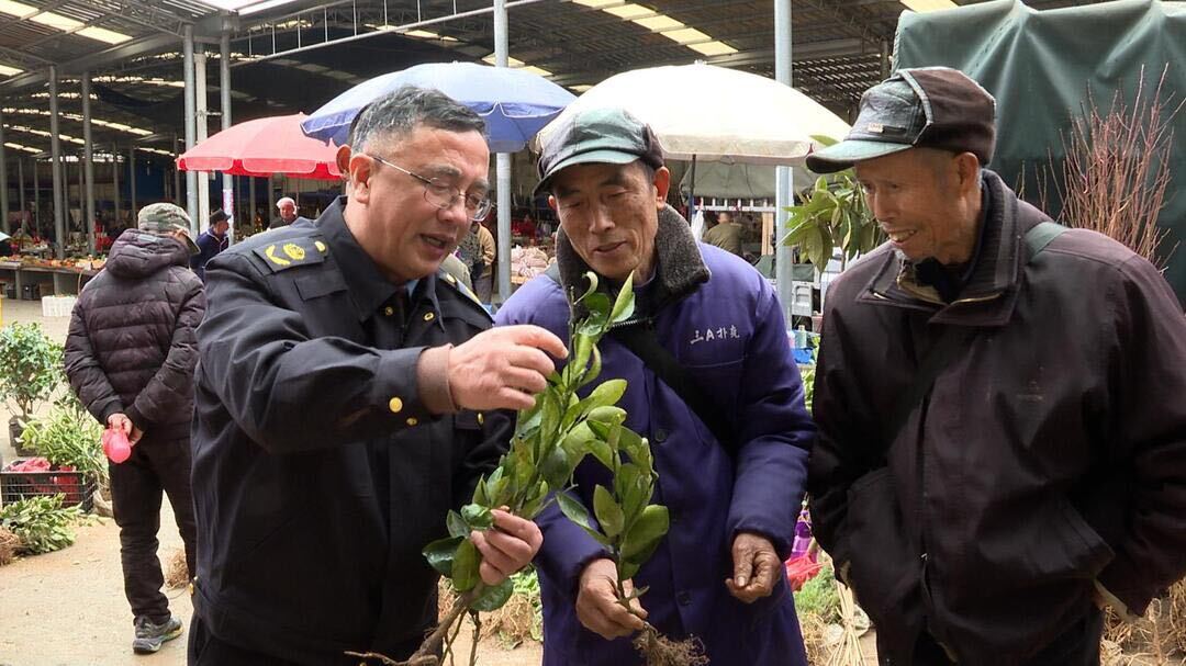 洞口县农业农村局开展苗木市场检疫执法检查