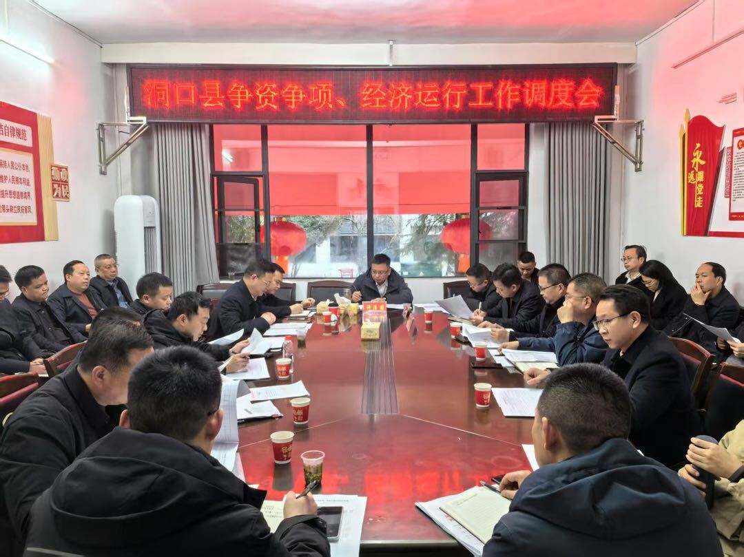许治国主持召开洞口县争资争项、经济运行工作调度会