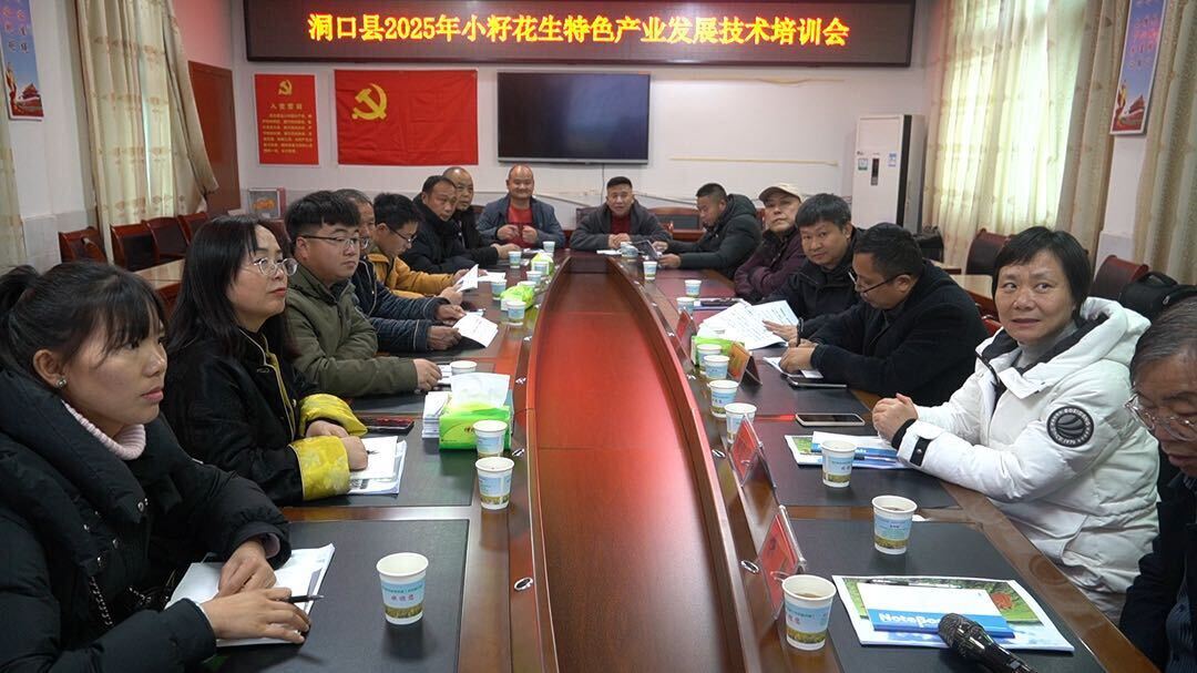 洞口县举办2025年小籽花生特色产业发展技术培训会