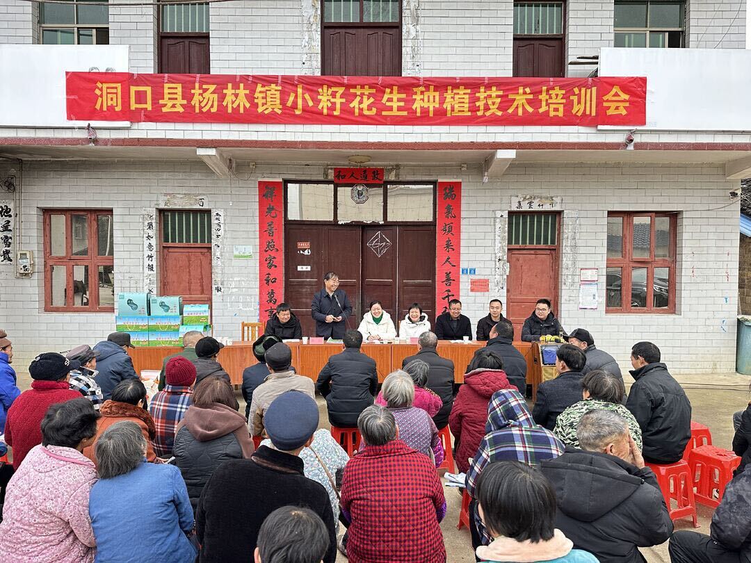 专家“把脉”花生种植，院落会里开出“致富方”