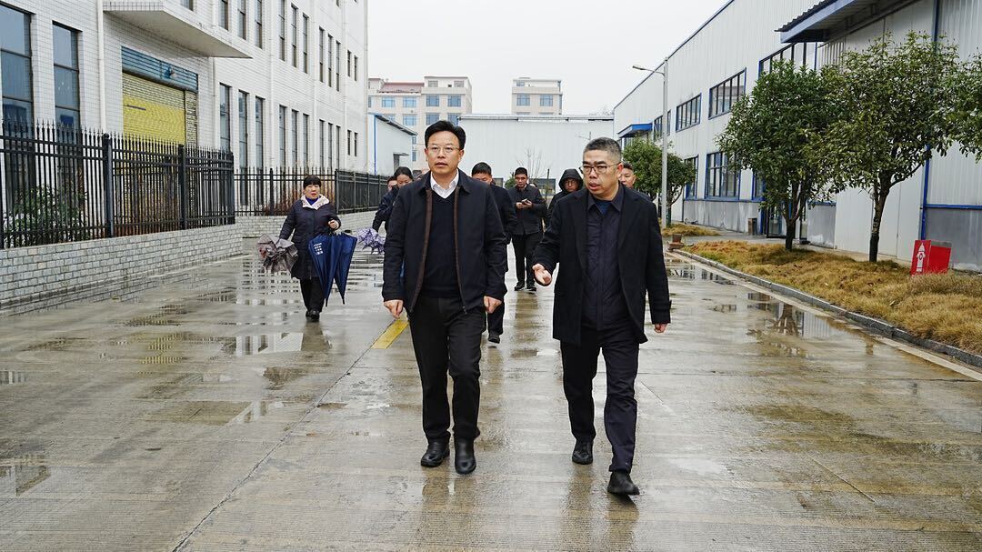 洞口县携手辣妹子食品  共绘雪峰蜜桔产业高质量发展新蓝图