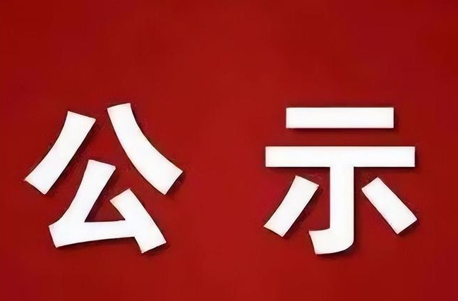 洞口县融媒体中心2024年度“湖南广播电视奖”县融专项奖报送作品公示