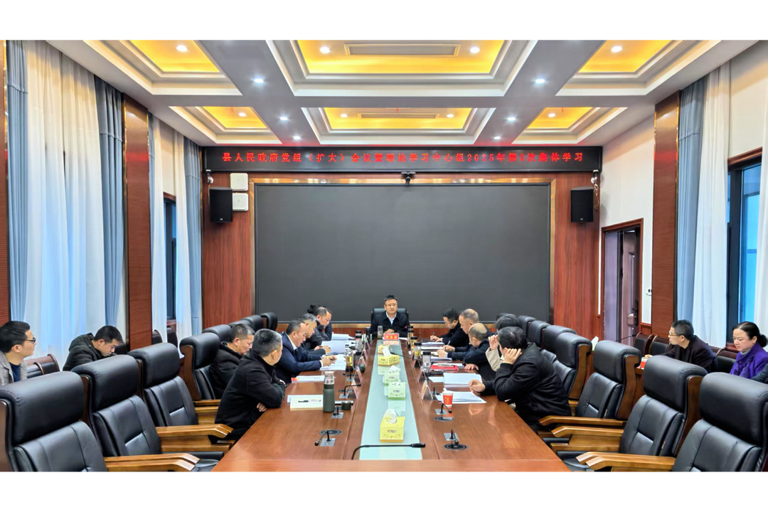 县人民政府召开党组（扩大）会议暨理论学习中心组2025年第3次集体学习