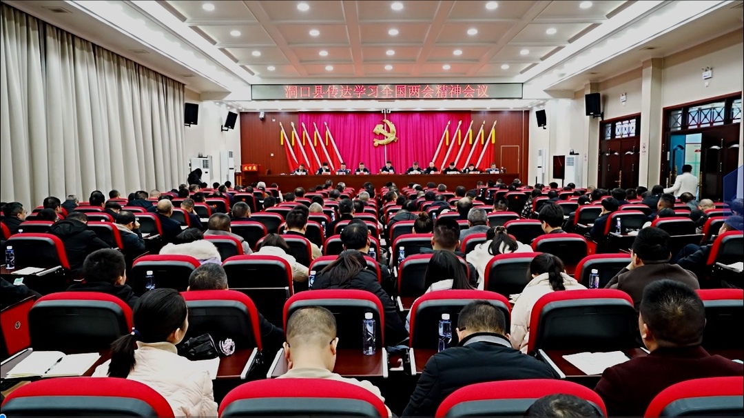 洞口县传达学习全国两会精神会议召开