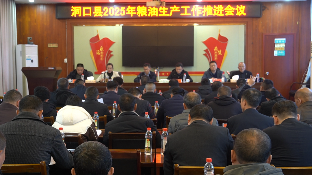 洞口县召开2025年粮油生产工作推进会议