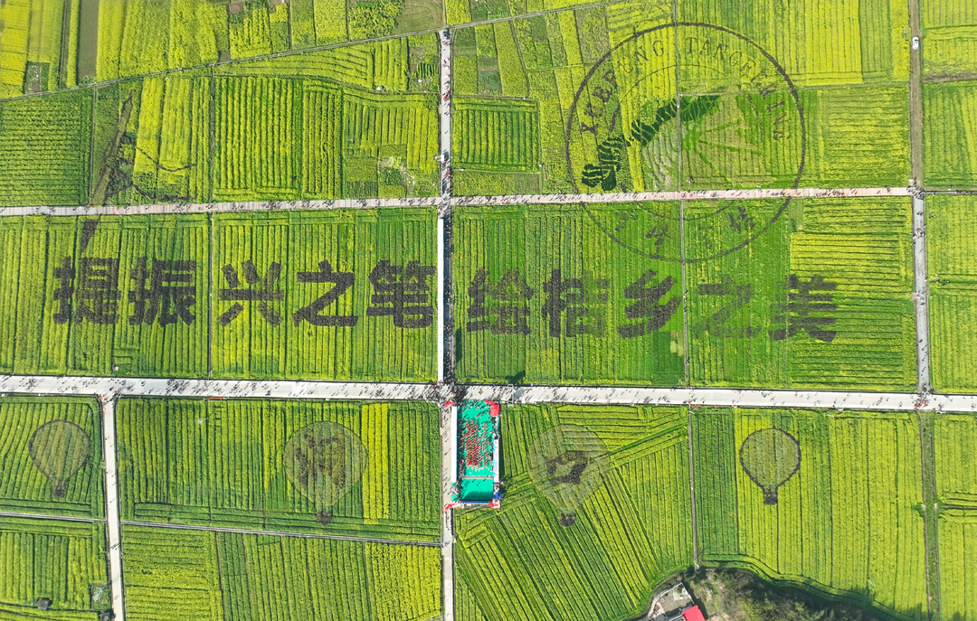 洞口：以花为“媒”，打造乡村旅游“春日经济”新引擎