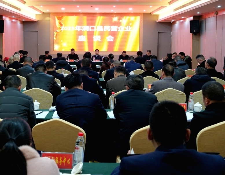 ﻿洞口县民营企业座谈会召开