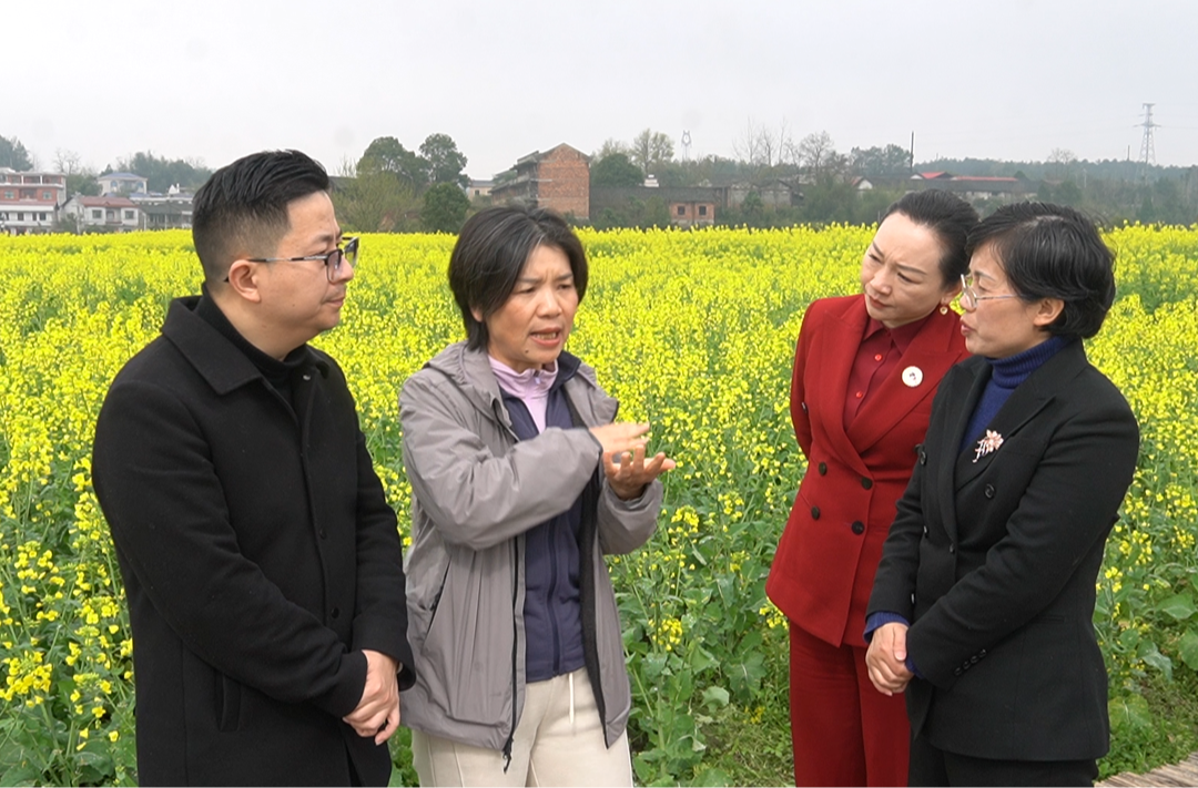 段雪梅到洞口县考察调研“奔跑吧·邵阳”活动开展情况