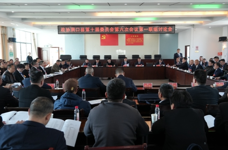 ﻿吴韬参加政协洞口县第十届委员会第六次会议第一联组讨论