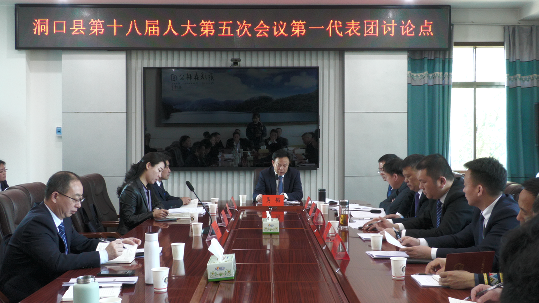 吴韬参加洞口县第十八届人民代表大会第五次会议第一代表团讨论
