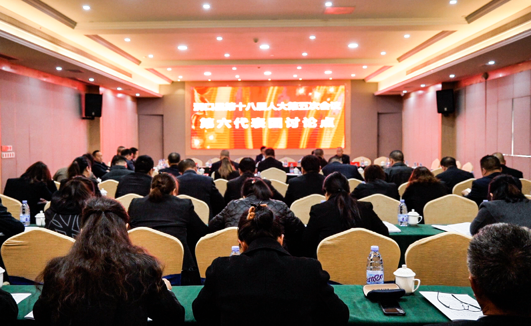 欧阳佑春参加洞口县第十八届人民代表大会第五次会议第六代表团讨论