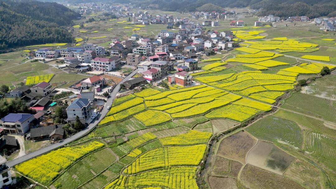 毓兰凤溪村：环保行动助力乡村振兴，共建和美家园
