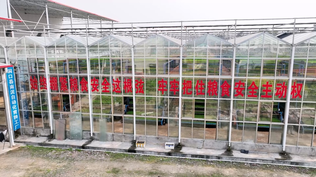 洞口：科技育秧助力春耕提速