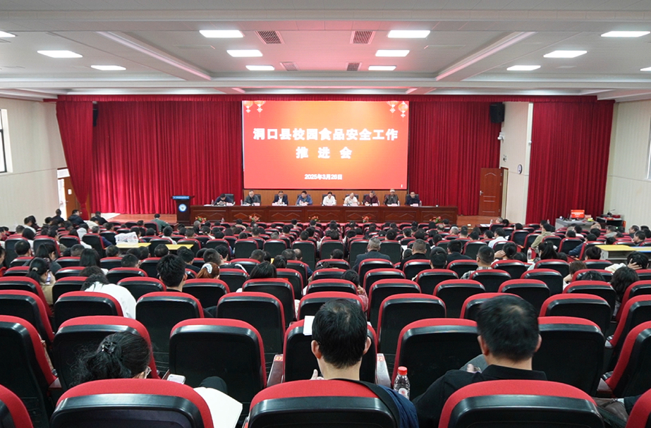 洞口召开进一步加强校园食品安全工作推进会暨培训会
