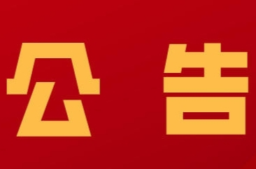 关于开展洞口县“十五五”规划“金点子”征集活动的公告