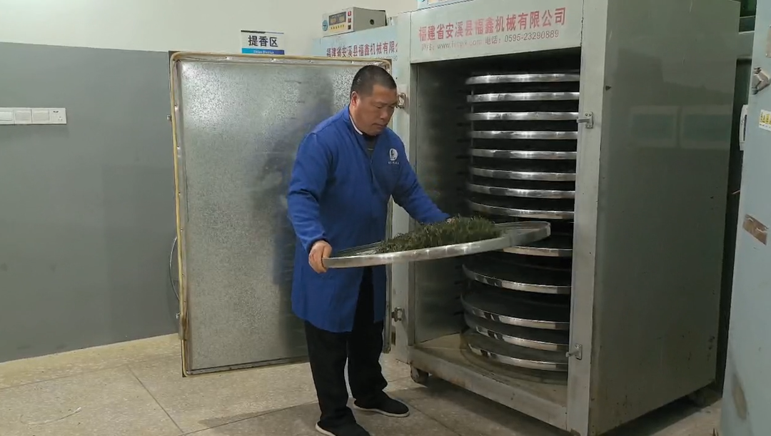 古楼龙凤茶：匠心制茶传承非遗技艺 续写千年茶香传奇