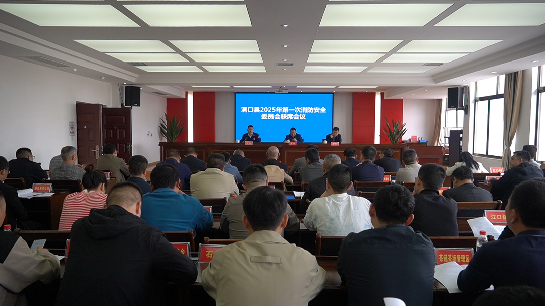 洞口县召开2025年第一次消防安全委员会联席会议
