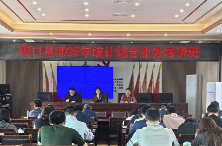 洞口县召开2025年统计综合业务培训班 暨统计违法案件警示教育会
