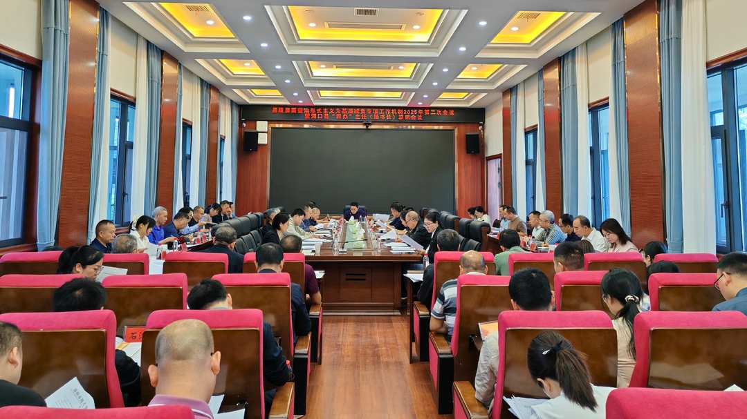 县级层面整治形式主义为基层减负专项工作机制2025年第二次会议暨洞口县“四办”主任（秘书长）联席会议召开