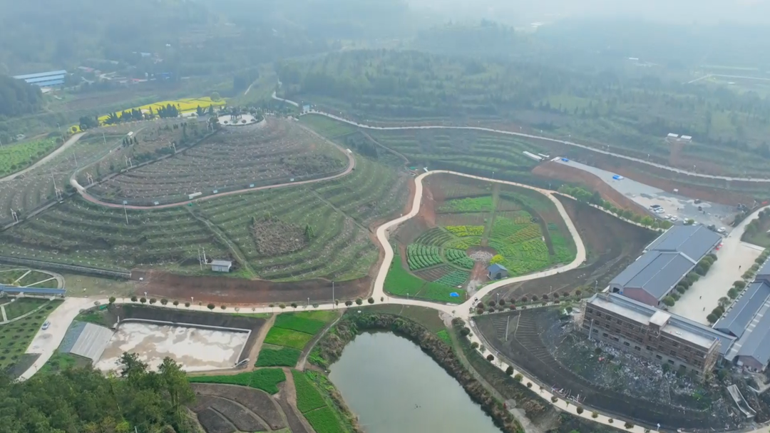 茶铺茶场管理区：和美乡村建设进行时 绘就宜居宜业新画卷