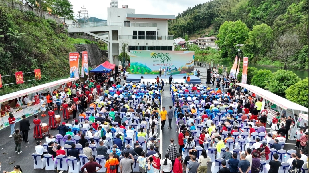 县文旅广体局：以“跑”为媒  以“茶”兴旅  融合跑出经济发展新动能