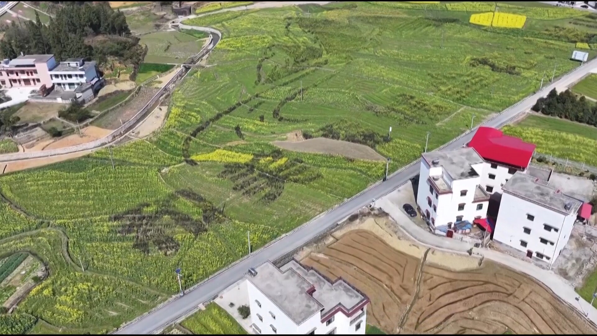 洞口石仁村：稻香路畅文旅兴 多维振兴绘图景