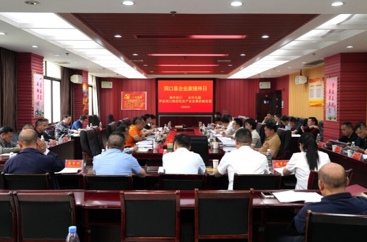 ﻿凝心聚力促发展  跨界协同创未来：洞口县举行“企业家接待日”