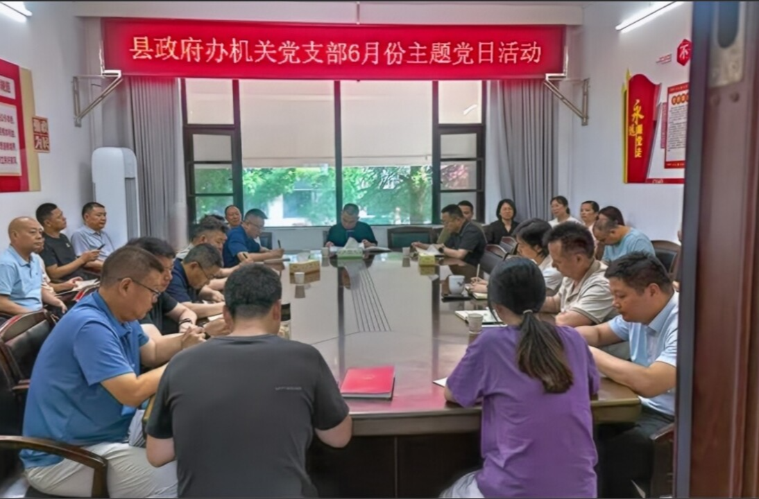 许治国以普通党员身份参加县政府办机关党支部6月份主题党日活动