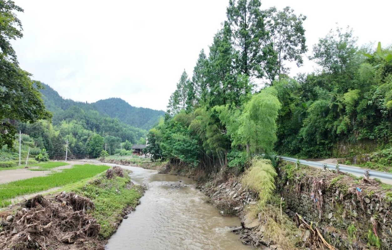 风雨中的“生命竹桥” ——洞口县月溪镇基层干部在洪峰中挺起不屈脊梁