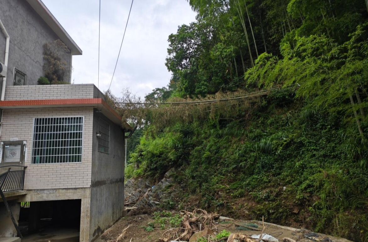 風(fēng)雨中的“生命竹橋” ——洞口縣月溪鎮(zhèn)基層干部在洪峰中挺起不屈脊梁