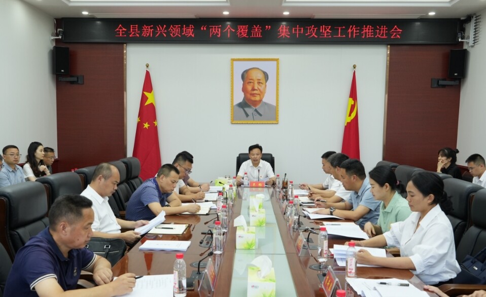 ﻿洞口县召开新兴领域“两个覆盖”集中攻坚工作调度会