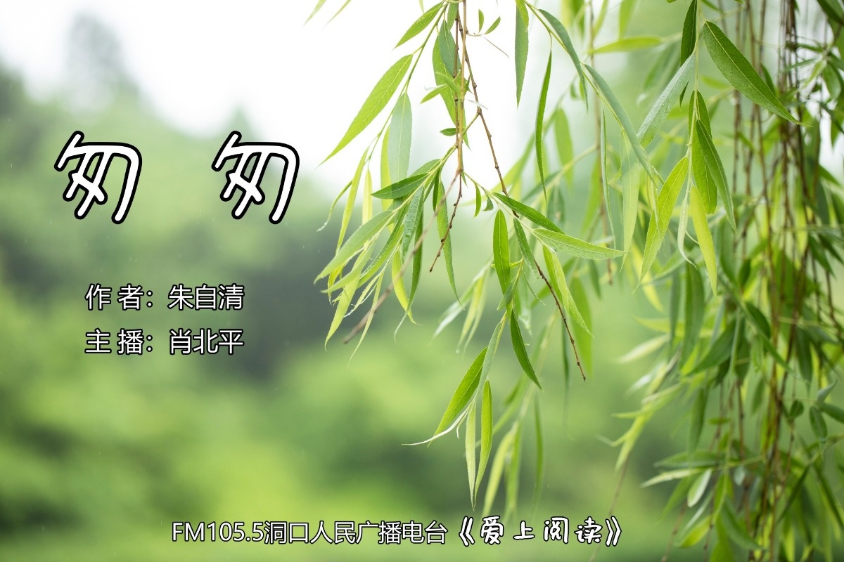 FM105.5《爱上阅读》第232期：匆 匆