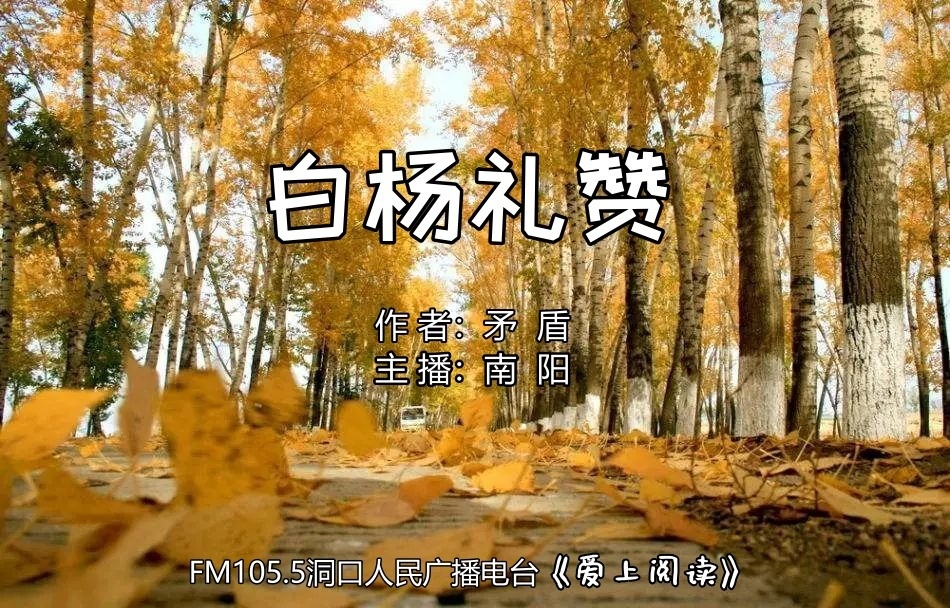 FM105.5《爱上阅读》第236期：白杨礼赞