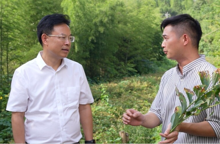 吴韬到月溪镇调研乡村振兴等工作