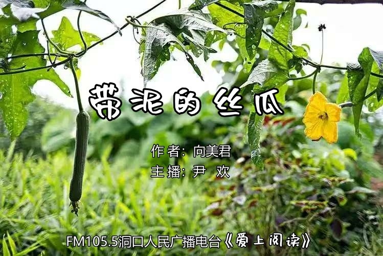 FM105.5《爱上阅读》第237期：带泥的丝瓜