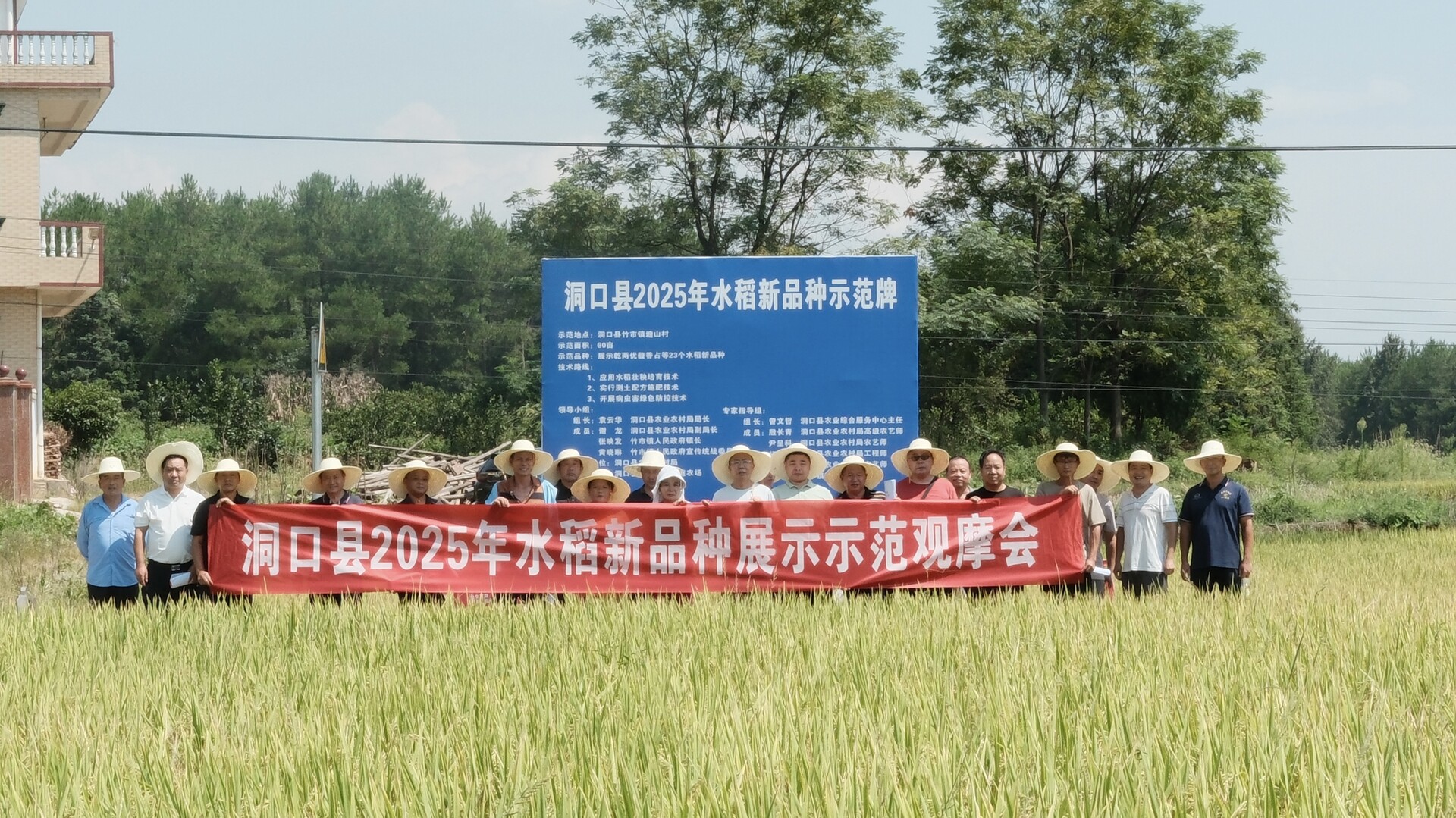 我縣開(kāi)展2025年水稻新品種展示示范觀摩會(huì)  搭建“看禾選種”平臺(tái)助農(nóng)增收