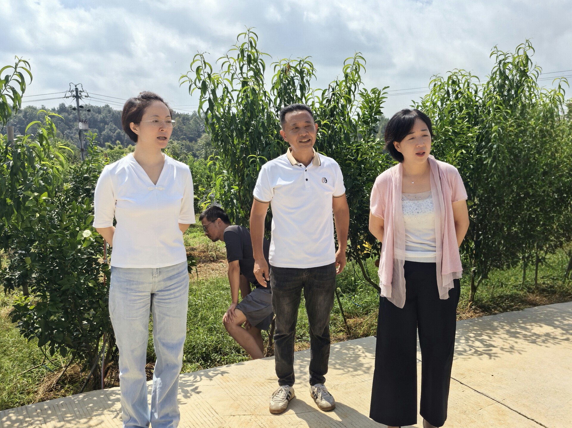 市政協(xié)調(diào)研組到我縣開展“農(nóng)業(yè)農(nóng)藥化肥減量增效”民主監(jiān)督活動